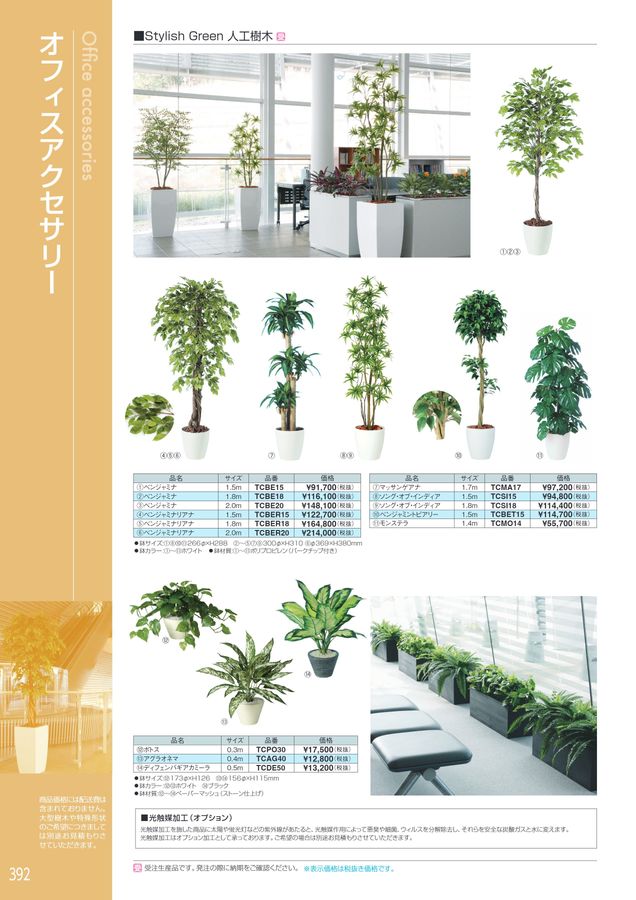 TECTA カタログ作品集 アイリスチトセ 2025総合カタログ