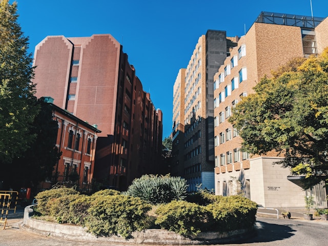 大学